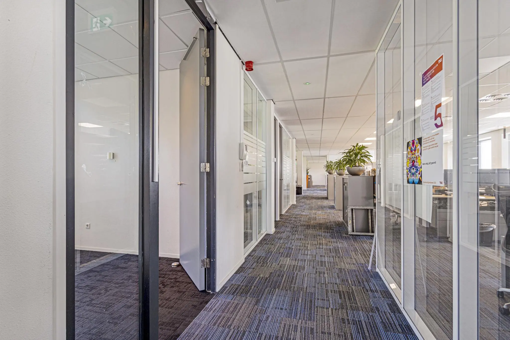 Moderne kantoorruimte aan de Fascinatio Boulevard met glazen wanden, open werkplekken en planten langs de gang.